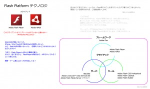 Flash_Platform_20100418